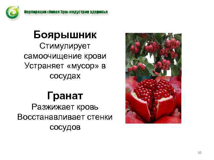 Боярышник Стимулирует самоочищение крови Устраняет «мусор» в сосудах Гранат Разжижает кровь Восстанавливает стенки сосудов