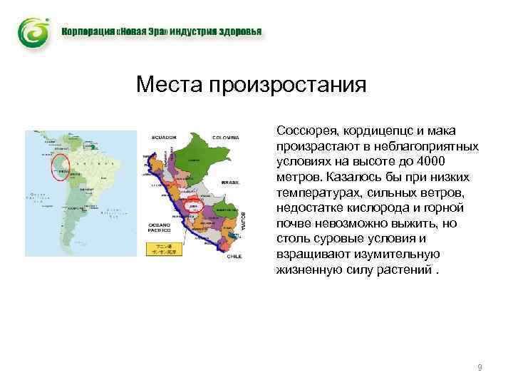 Места произростания Соссюрея, кордицепцс и мака произрастают в неблагоприятных условиях на высоте до 4000