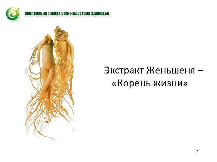 Экстракт Женьшеня – «Корень жизни» 7 