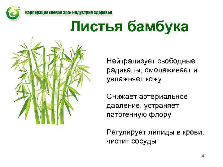 Листья бамбука Нейтрализует свободные радикалы, омолаживает и увлажняет кожу Снижает артериальное давление, устраняет патогенную