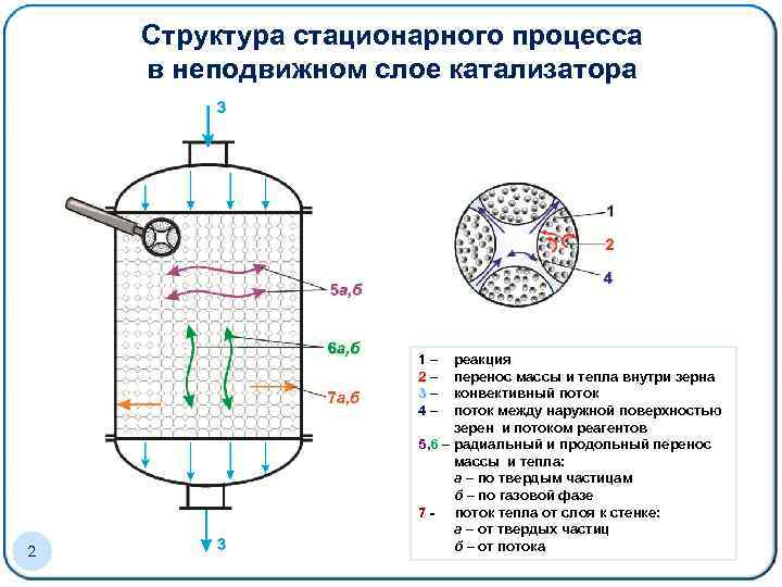 Катализаторы химических реакций в организме