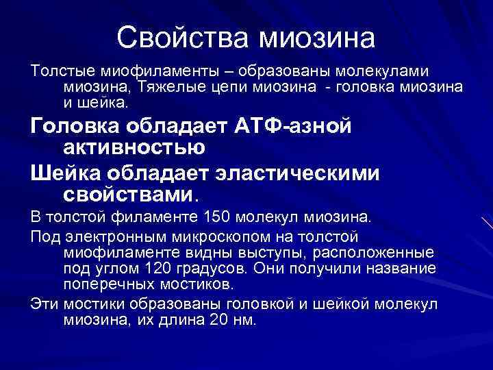Свойства миозина Толстые миофиламенты – образованы молекулами миозина, Тяжелые цепи миозина - головка миозина