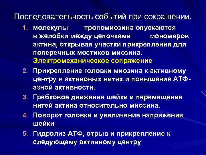 Последовательность событий при сокращении. 1. молекулы 2. 3. 4. 5. тропомиозина опускаются в желобки