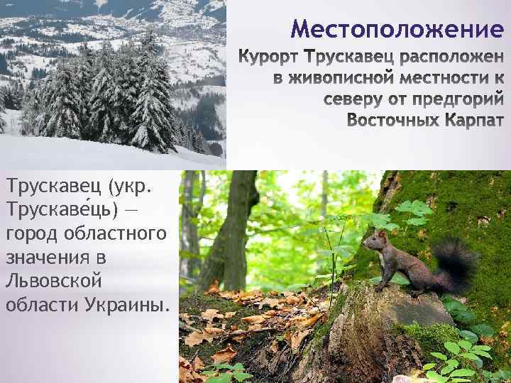 Местоположение Трускавец (укр. Трускаве ць) — город областного значения в Львовской области Украины. 
