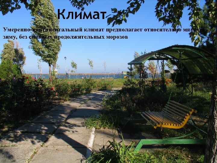 Климат Умеренно-континентальный климат предполагает относительно мягкую зиму, без сильных продолжительных морозов 