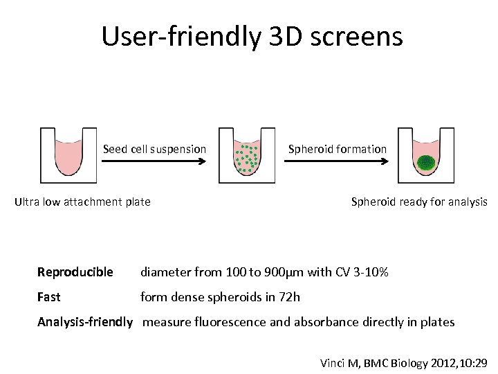 User-friendly 3 D screens Seed cell suspension Spheroid formation Ultra low attachment plate Spheroid