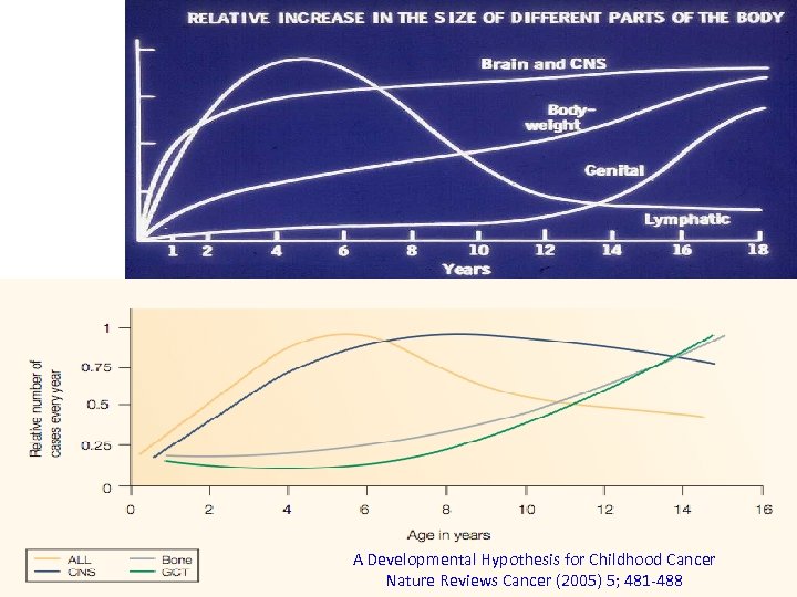 A Developmental Hypothesis for Childhood Cancer Nature Reviews Cancer (2005) 5; 481 -488 