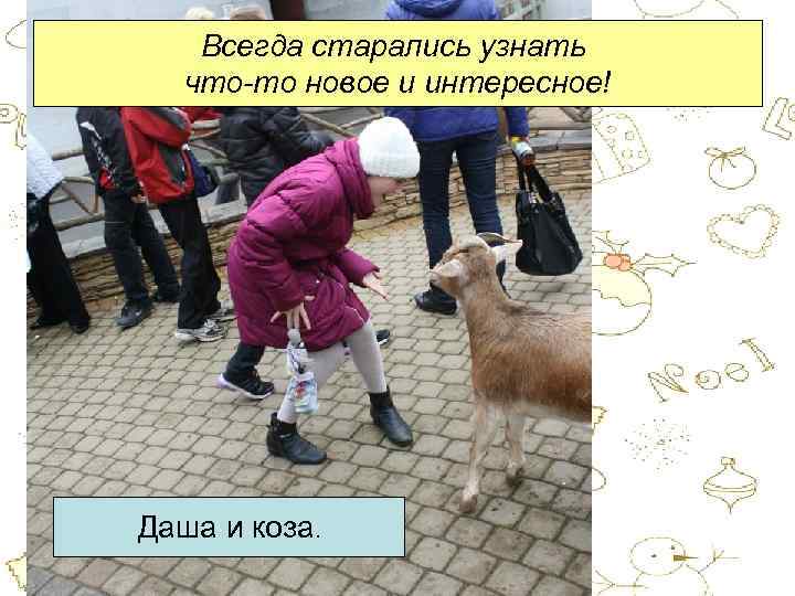 Всегда старались узнать что-то новое и интересное! Даша и коза. 