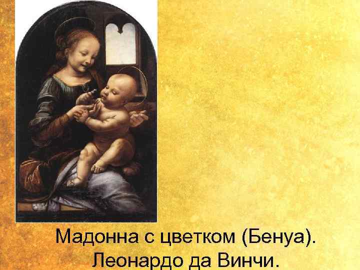 Мадонна с цветком (Бенуа). Леонардо да Винчи. 