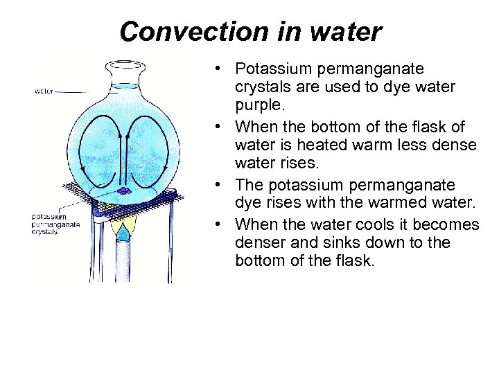 Convection in water • Potassium permanganate crystals are used to dye water purple. •