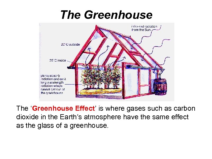 The Greenhouse The ‘Greenhouse Effect’ is where gases such as carbon dioxide in the