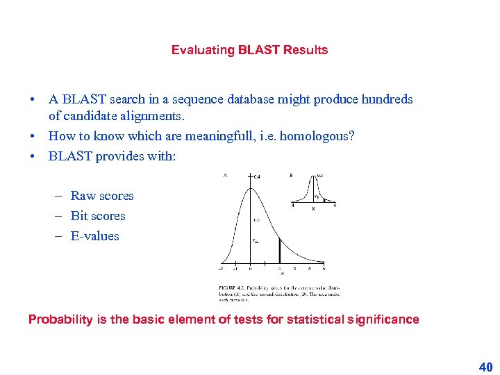Evaluating BLAST Results • A BLAST search in a sequence database might produce hundreds