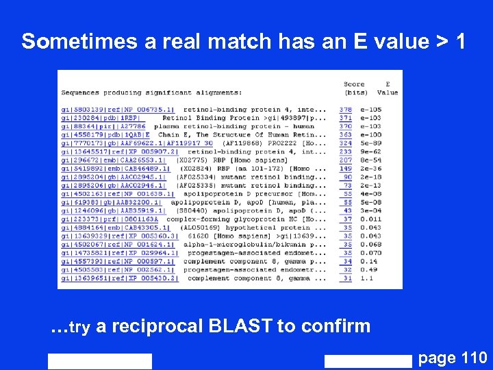 Sometimes a real match has an E value > 1 …try a reciprocal BLAST