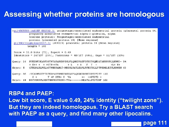 Assessing whether proteins are homologous RBP 4 and PAEP: Low bit score, E value