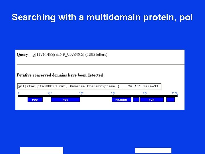 Searching with a multidomain protein, pol page 114 63 