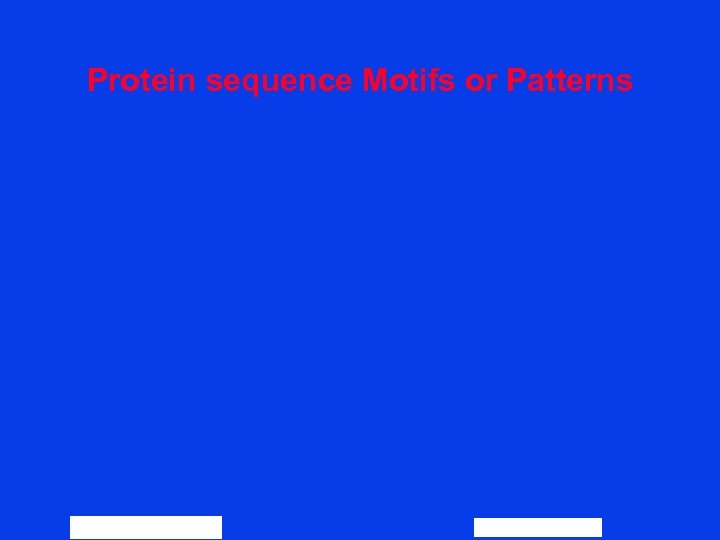 Protein sequence Motifs or Patterns 66 