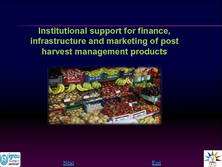 Institutional support for finance, infrastructure and marketing of post harvest management products Next End