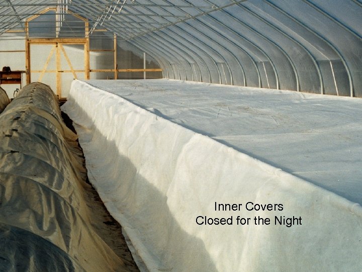 Inner Covers Closed for the Night 