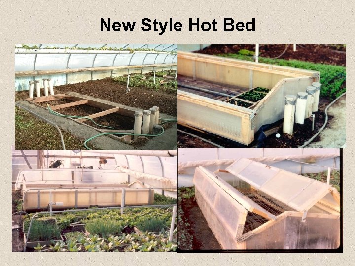 New Style Hot Bed 