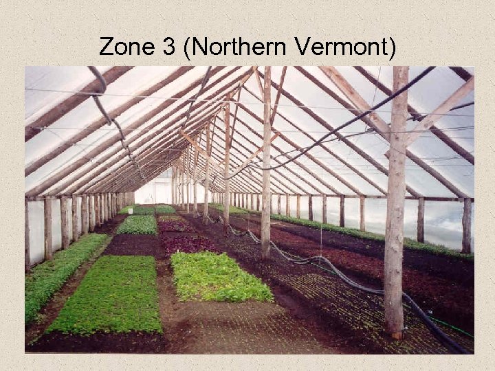 Zone 3 (Northern Vermont) 