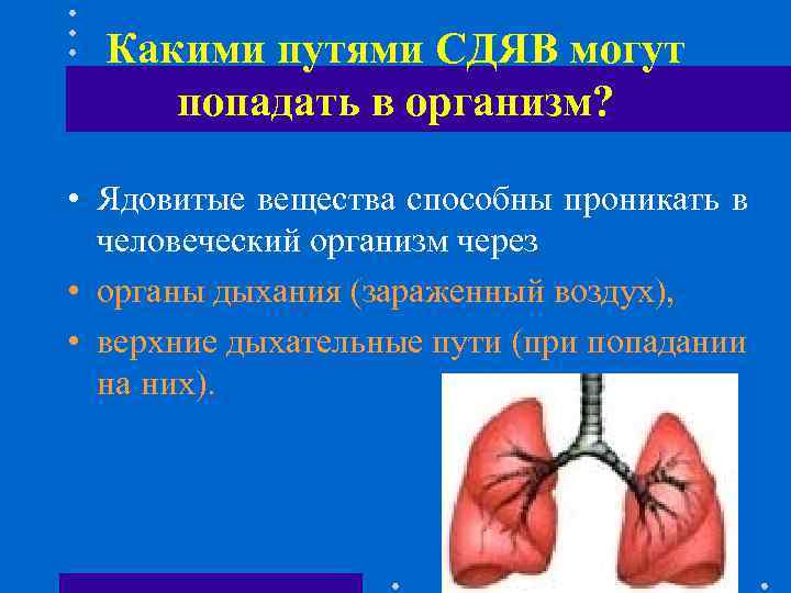 Какими путями СДЯВ могут попадать в организм? • Ядовитые вещества способны проникать в человеческий