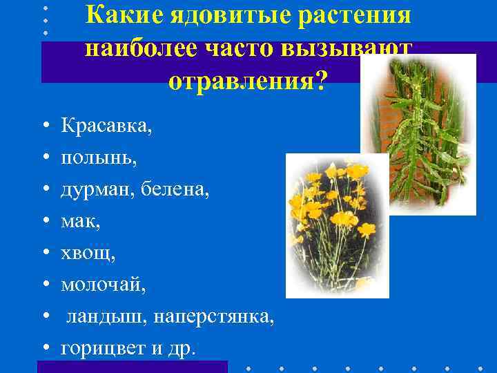 Какие ядовитые растения наиболее часто вызывают отравления? • • Красавка, полынь, дурман, белена, мак,