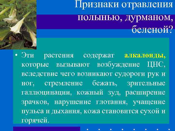 Признаки отравления полынью, дурманом, беленой? • Эти растения содержат алкалоиды, которые вызывают возбуждение ЦНС,