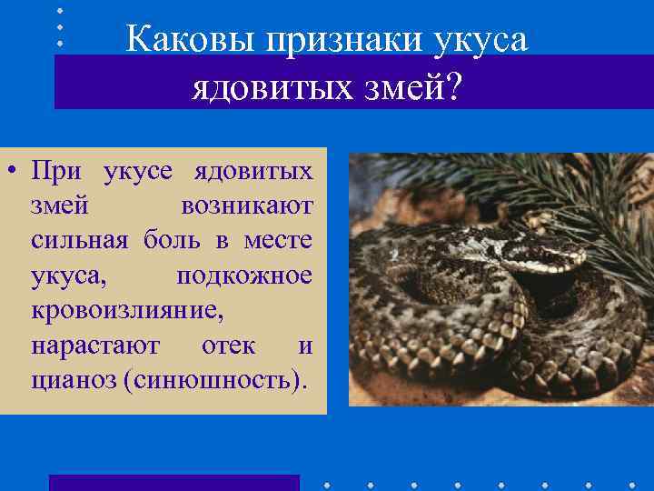 Каковы признаки укуса ядовитых змей? • При укусе ядовитых змей возникают сильная боль в