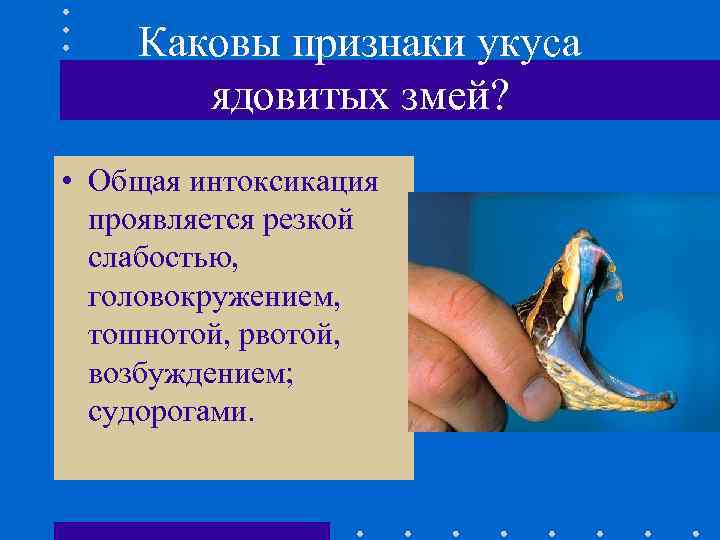 Каковы признаки укуса ядовитых змей? • Общая интоксикация проявляется резкой слабостью, головокружением, тошнотой, рвотой,