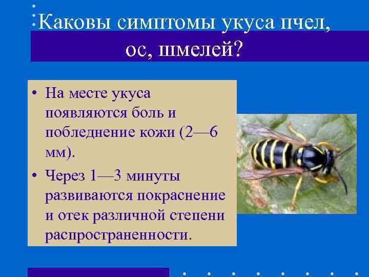 Каковы симптомы укуса пчел, ос, шмелей? • На месте укуса появляются боль и побледнение