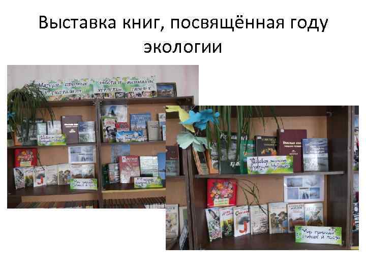 Выставка книг, посвящённая году экологии 