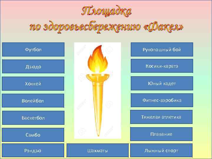 Площадка по здоровьесбережению «Факел» Футбол Рукопашный бой Дзюдо Косики-каратэ Хоккей Юный кадет Волейбол Фитнес-аэробика