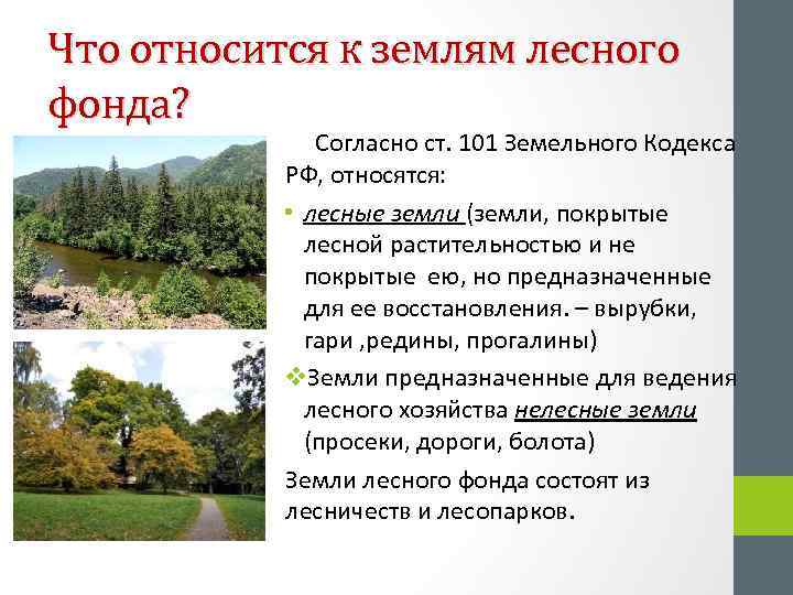 Что относится к землям лесного фонда? Согласно ст. 101 Земельного Кодекса РФ, относятся: •
