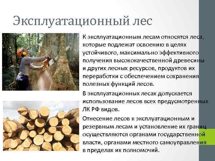Эксплуатационный лес К эксплуатационным лесам относятся леса, которые подлежат освоению в целях устойчивого, максимально