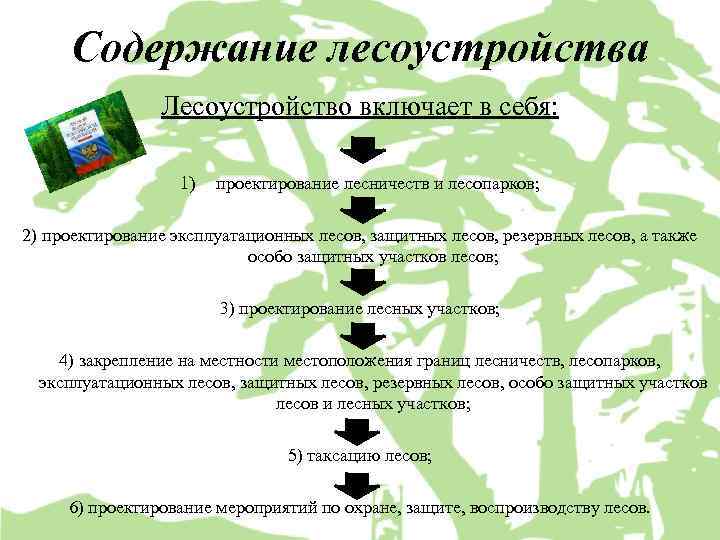 План освоения лесов для рекреационной деятельности