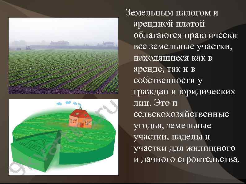 Земельным налогом и арендной платой облагаются практически все земельные участки, находящиеся как в аренде,