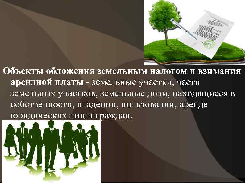 Объекты обложения земельным налогом и взимания арендной платы - земельные участки, части земельных участков,