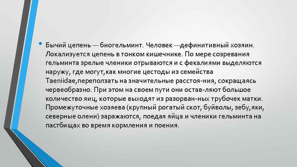  • Бычий цепень — биогельминт. Человек —дефинитивный хозяин. Локализуется цепень в тонком кишечнике.