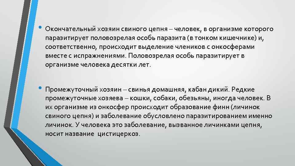  • Окончательный хозяин свиного цепня – человек, в организме которого паразитирует половозрелая особь