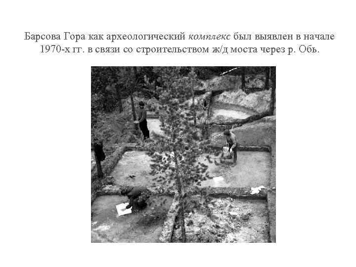 Барсова Гора как археологический комплекс был выявлен в начале 1970 -х гг. в связи