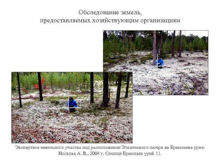 Обследование земель, предоставляемых хозяйствующим организациям Экспертиза земельного участка под расположение Этнического лагеря на Ермолаеве