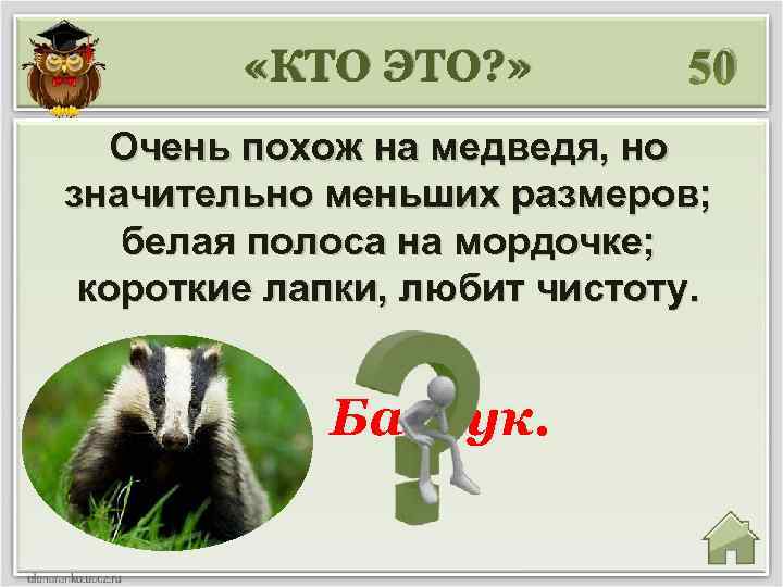  «КТО ЭТО? » 50 Очень похож на медведя, но значительно меньших размеров; белая