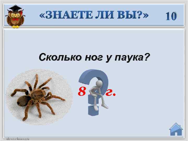  «ЗНАЕТЕ ЛИ ВЫ? » Сколько ног у паука? 8 ног. 10 