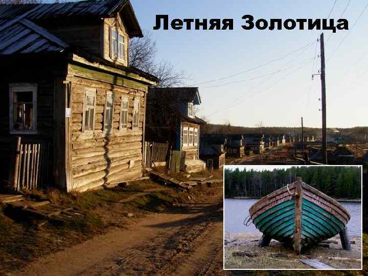 Летняя Золотица 