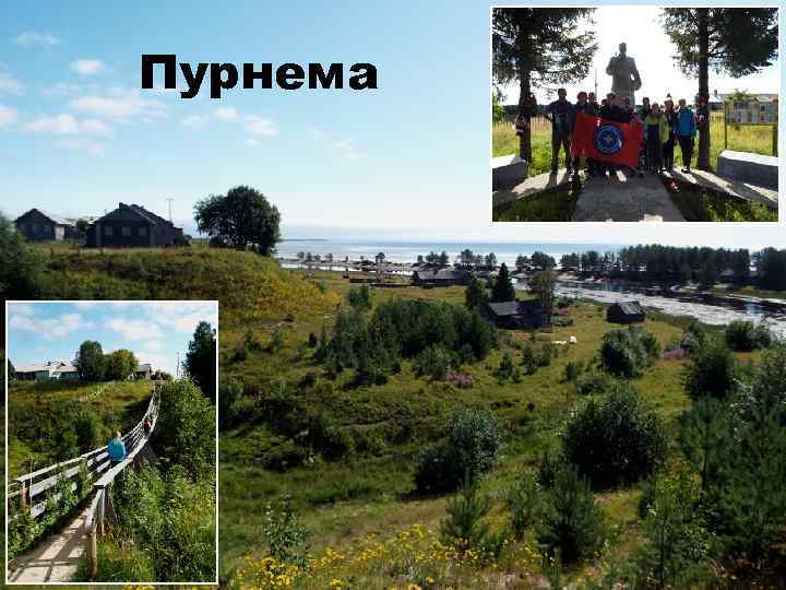 Пурнема 