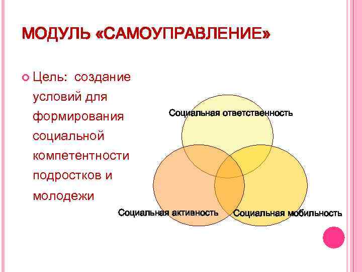 МОДУЛЬ «САМОУПРАВЛЕНИЕ» Цель: создание условий для формирования социальной компетентности подростков и Социальная ответственность молодежи