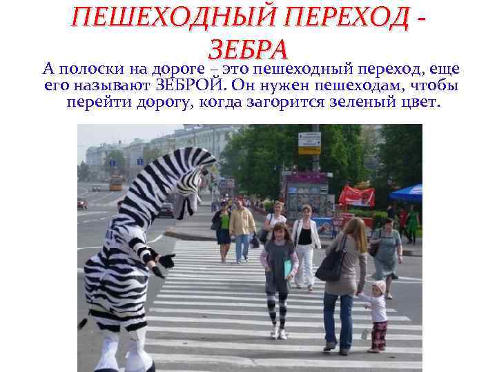 ПЕШЕХОДНЫЙ ПЕРЕХОД ЗЕБРА А полоски на дороге – это пешеходный переход, еще его называют