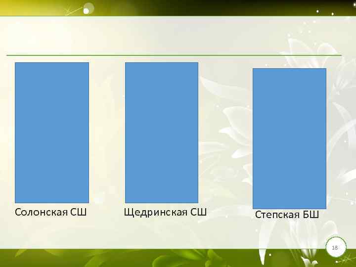 Солонская СШ Щедринская СШ Степская БШ 18 