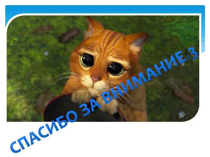 П С С А Б И З О В А И Н А М