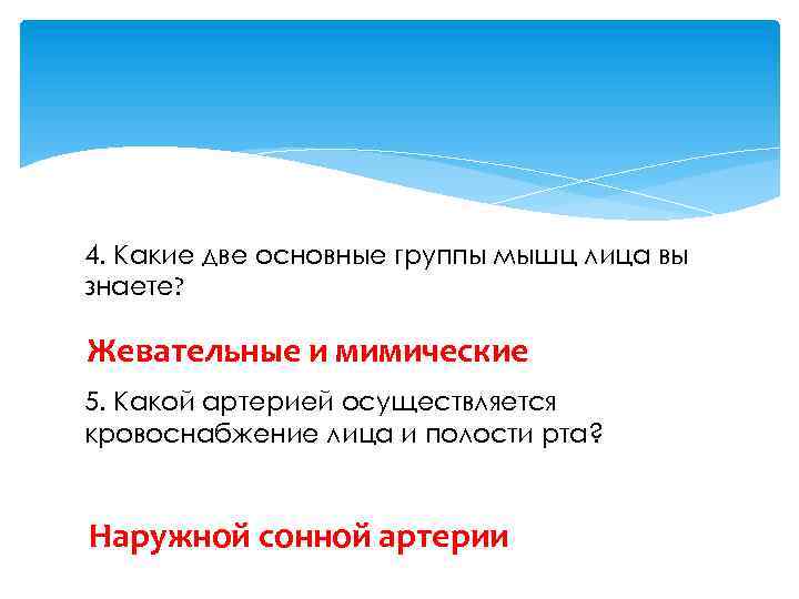 4. Какие две основные группы мышц лица вы знаете? Жевательные и мимические 5. Какой